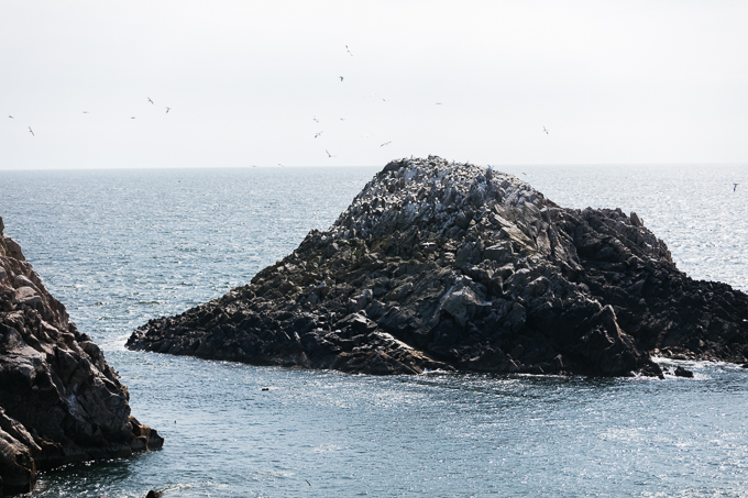 Ireland May 2016 (23)